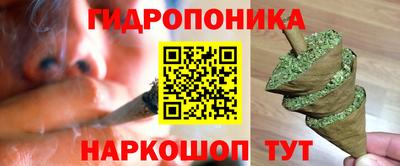 прущие крисы Ирбит